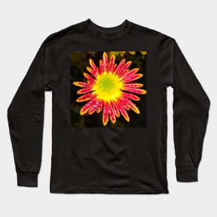 Chrysanthemum Daisy dewdrops - spring summer nature Gerber daisy flower Long Sleeve T-Shirt